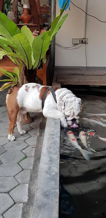 Gordnuea Boutique House Panzió Csiangmaj Kültér fotó